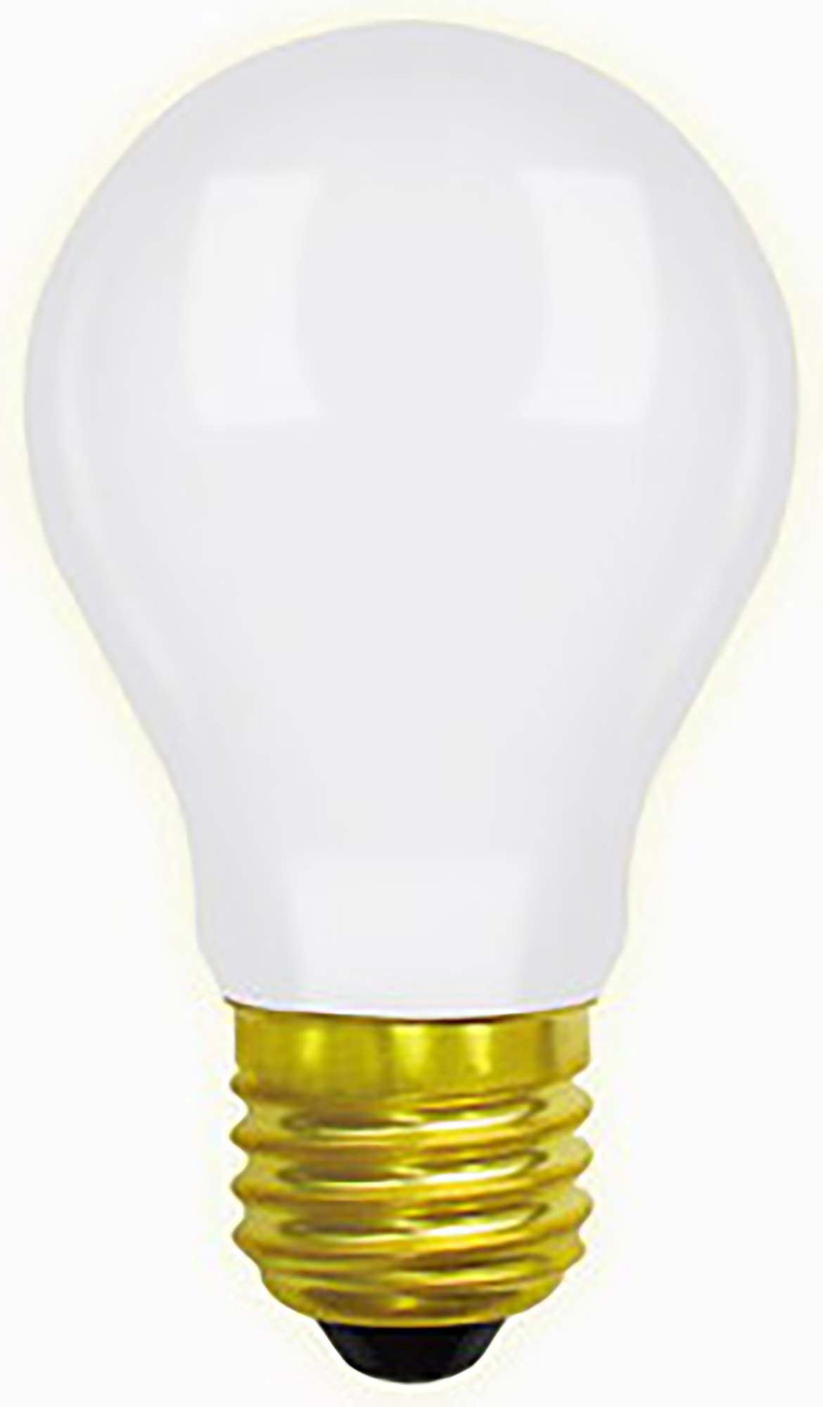 Photographic Incandescent Luxram Photographic Photographic Incandescent Luxram Photographic